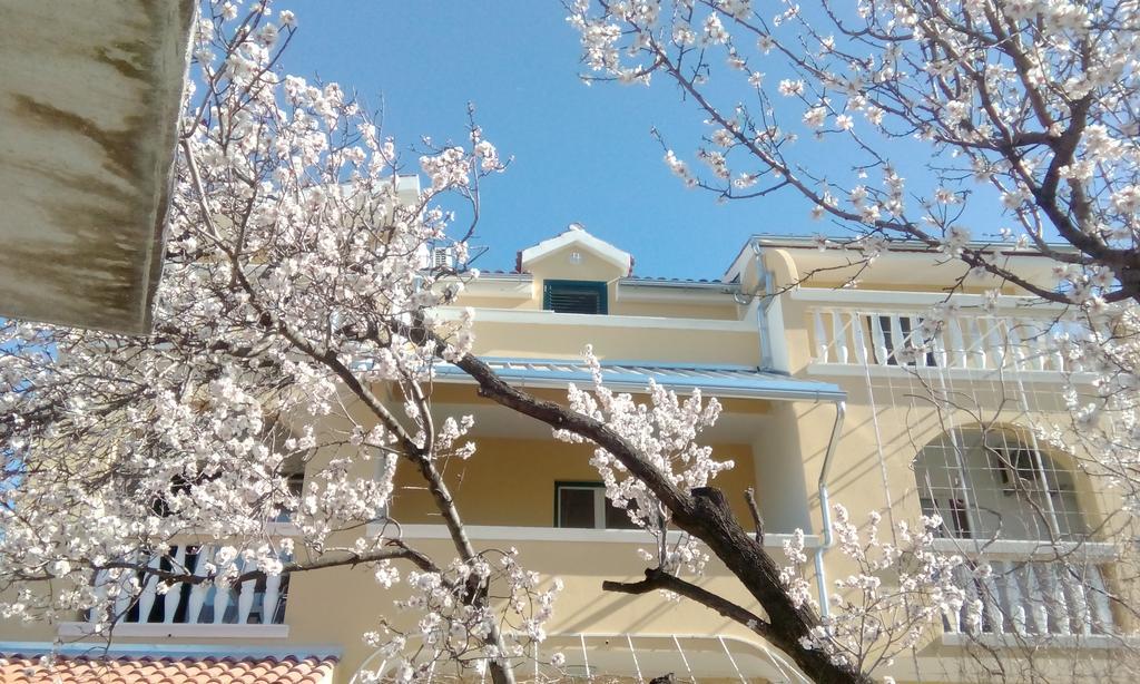 Apartments Meri Vodice Luaran gambar